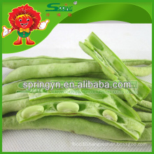 String bean for sale healthy snow peas